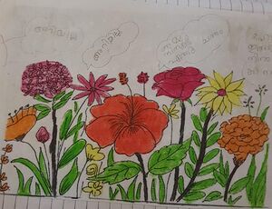 15455 WYD KUNJ AMNA.jpeg