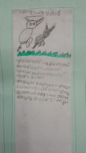 41644-KLM-KUNJ-MUHAMMAD AADIL.jpeg