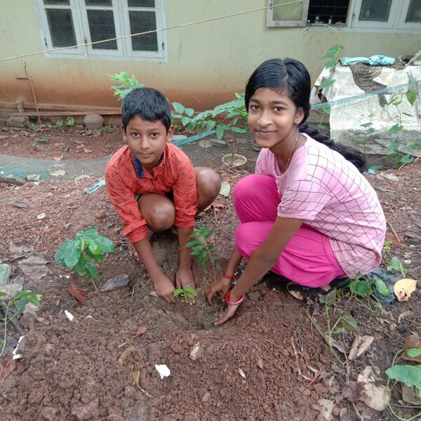 പ്രമാണം:44050 eco 68.jpeg