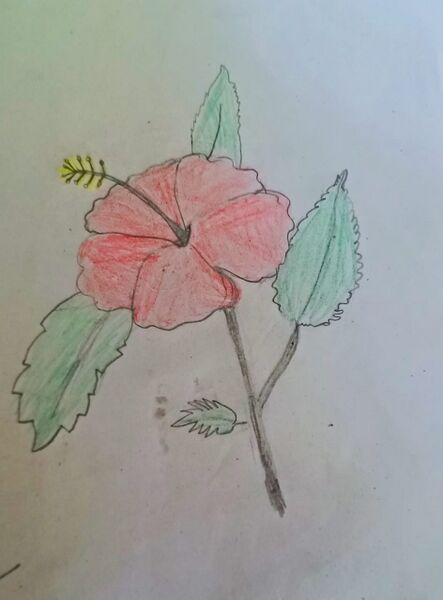 പ്രമാണം:44055 12346.jpeg