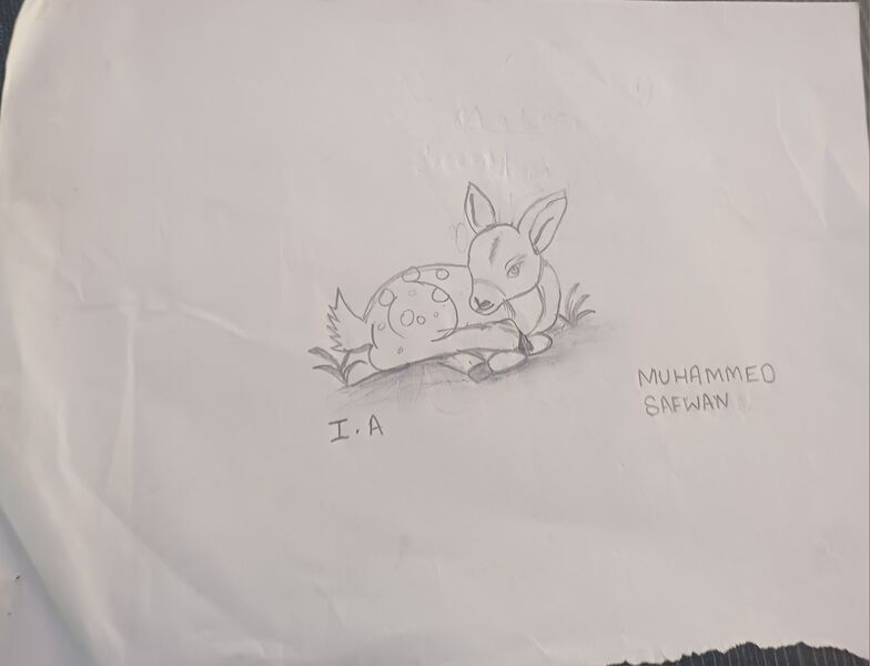 പ്രമാണം:44429-TVM-KUNJ-Muhammed safwan.jpg