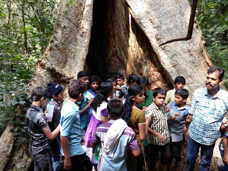 പ്രമാണം:47089 tha4.jpg