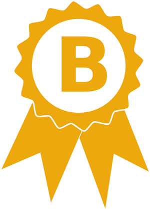 Badge-icon-b.svg