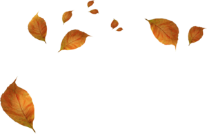 Leaves-falling-transparent-background-6.png