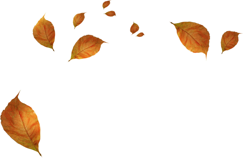പ്രമാണം:Leaves-falling-transparent-background-6.png