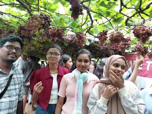 12060 KSD STDY TOUR4.jpg