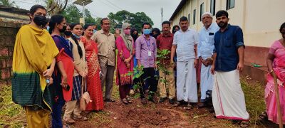 കാർഷിക ക്ലബ്ബ് സ്കൂൾ പരിസരത്ത് റംബൂട്ടാൻ തൈ നടുന്നു.