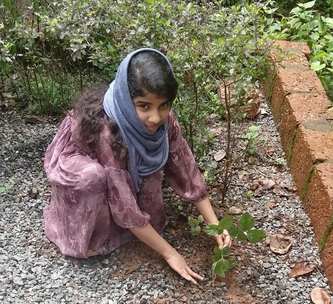 പ്രമാണം:13055 611.jpeg