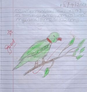 13929-KNR-KUNJ-ESTHAR MARY RAJESH.jpg