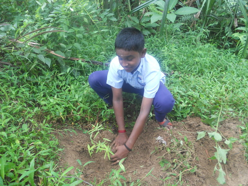 പ്രമാണം:15047 10.JPG