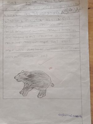 18351-MLP-KUNJ-ASHMAL NASEEB.jpg