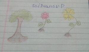 21363-PKD-KUNJ-SAI PRANAV P.jpg