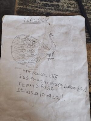 21554 PKD KUNJ ANIRUD.jpg