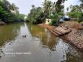 20:27, 10 മാർച്ച് 2022-ലെ പതിപ്പിന്റെ ലഘുചിത്രം