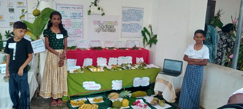 പ്രമാണം:23457 sas10.jpeg