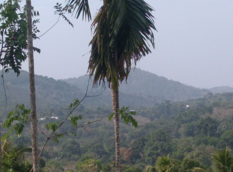 പ്രമാണം:38079 Scenary 2.jpg