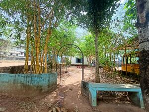 43013 school garden.jpg