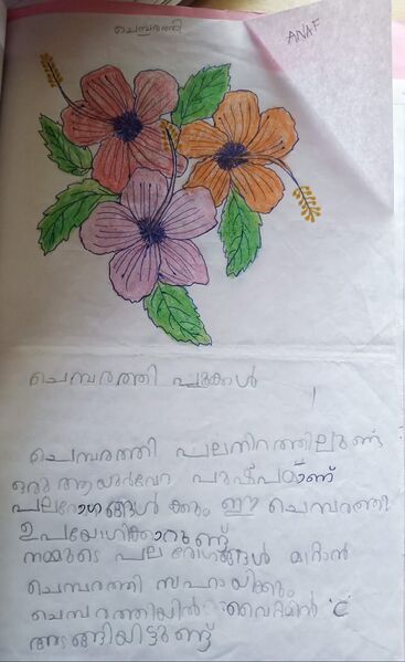 പ്രമാണം:43253 TVM KUNJ Anaf.jpeg