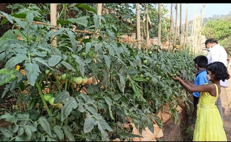 പ്രമാണം:47326 sslp00043.jpg