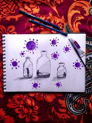 48022-p11 Vandana mk 8G.jpeg