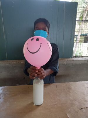 BS21 TSR 24080 3.jpg