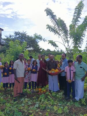 11072 vilavedupp3.jpg