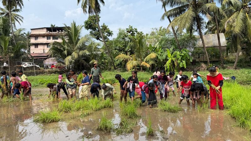 പ്രമാണം:11469 eco.jpg