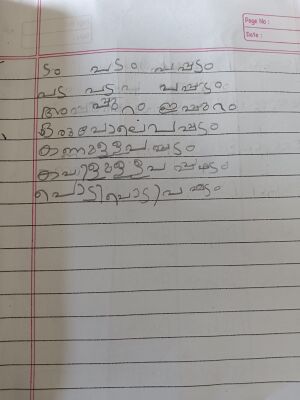 15224-WYD-KUNJ-SANA FATHIMA.T.jpeg