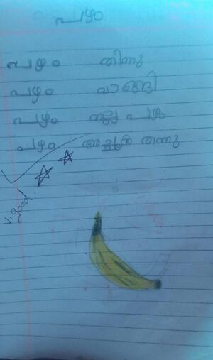 18753-MLP-KUNJ-AMEYA UK.jpeg