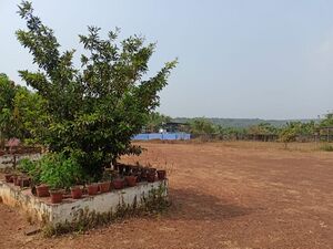 19833 facility77.jpg