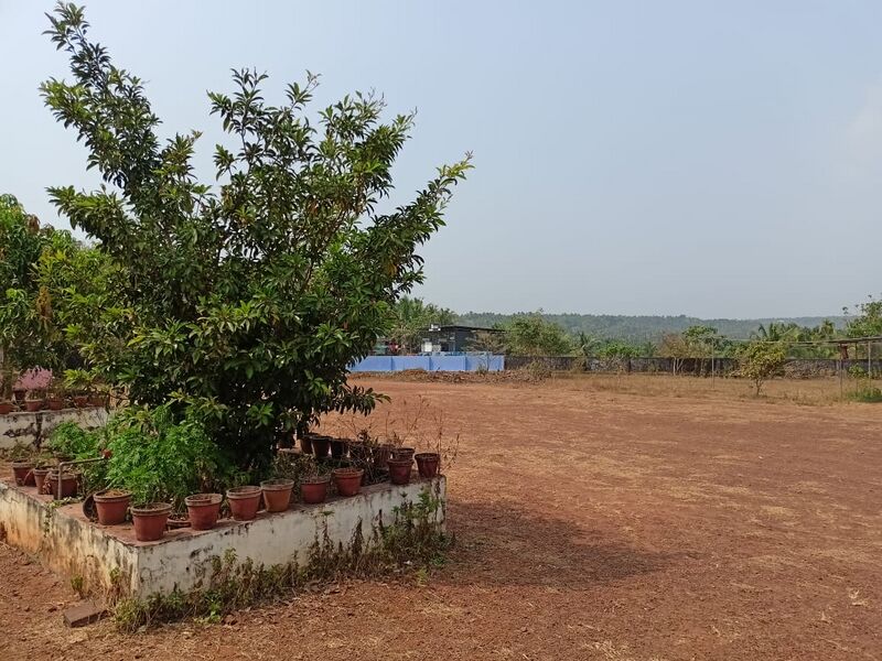 പ്രമാണം:19833 facility77.jpg