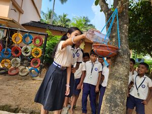 21706 seed 24 02.jpg