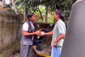 26038 LK LAHARI 3.jpg