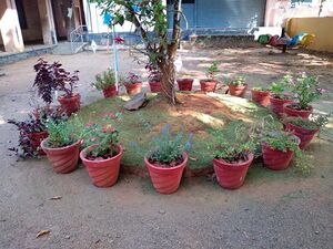 29312 environmentclub10.jpeg