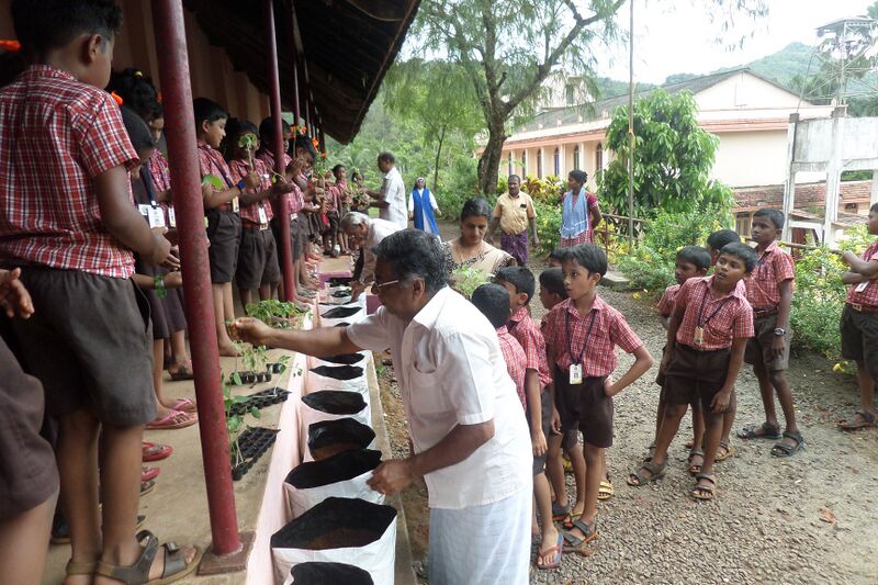 പ്രമാണം:31218 krishi.jpg