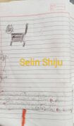 SELIN SHIJU