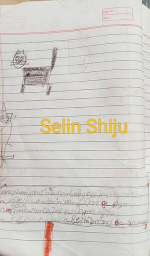 36271-ALP-KUNJ-SELIN SHIJU.jpeg