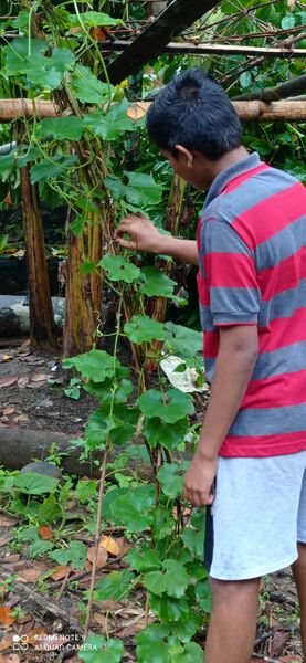 പ്രമാണം:37001 ld11.jpeg