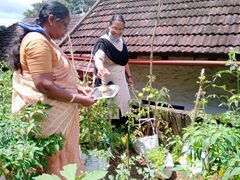 വെച്ചൂച്ചിറ കൃഷി ഭവന്റെ സഹകരണത്തോടെ ഈ വർഷം നടത്തിയ പച്ചക്കറി കൃഷിയുടെ വിളവെടുപ്പ്