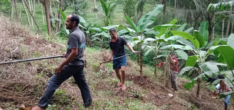 പ്രമാണം:47045-NSS 21-5.jpeg