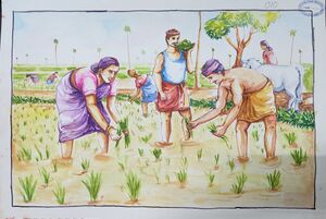 SSK2025-26 902 HSS General A 10 20039.jpg