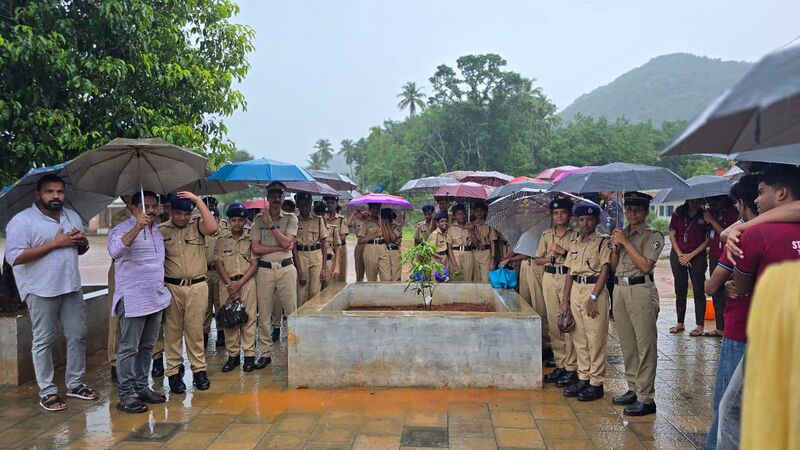 പ്രമാണം:12045-environment3.jpeg