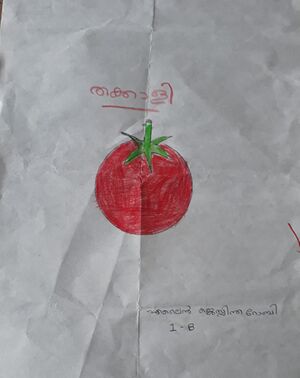 13452 - KNR - KUNJU -ELAINE JESSINTHA.jpg