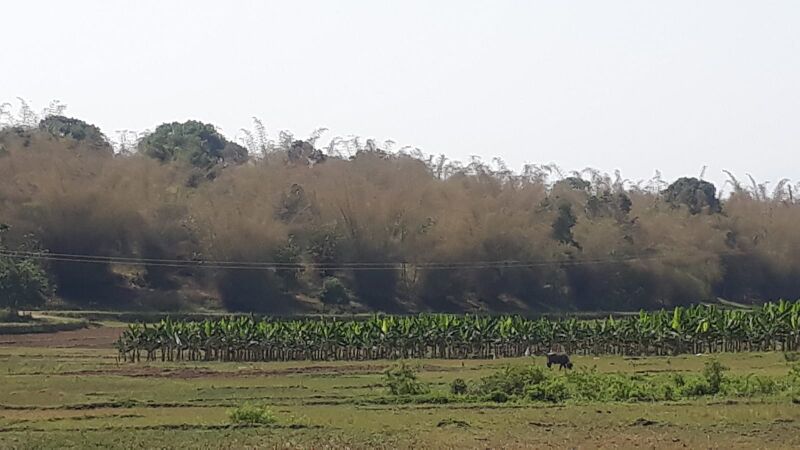 പ്രമാണം:15047 r16.jpeg