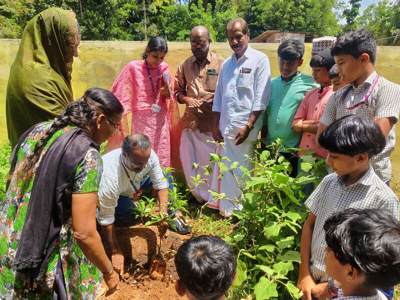 പ്രമാണം:15088 environmentday 2025 3.jpg