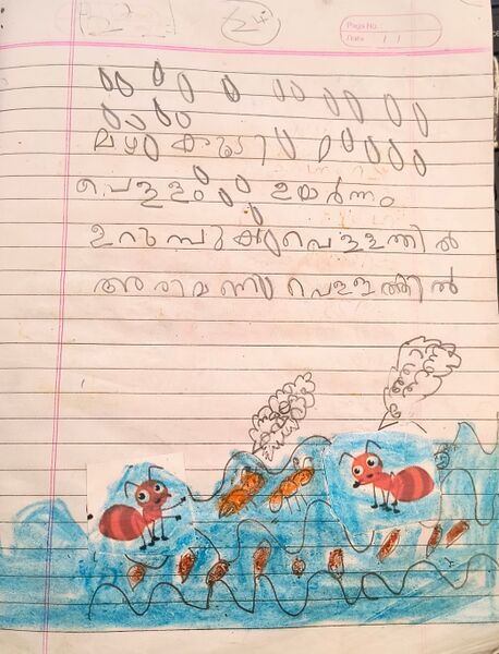 പ്രമാണം:19504-MLP-ayisha nourin-jpeg.jpg