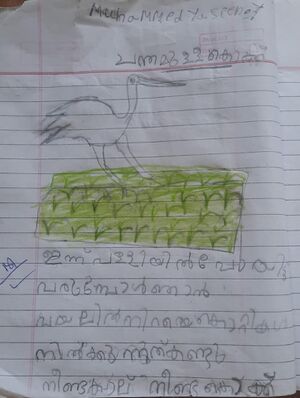 21234-pkd-kunj-muhammed yaseen.jpeg