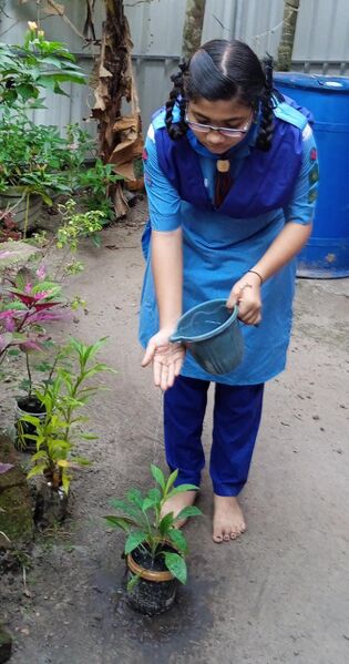 പ്രമാണം:36048 guides.jpeg