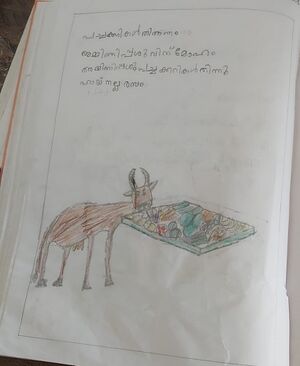 40412-KLM-KUNJ-Nivin shibi.jpeg