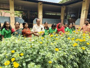 42008 flower2503.jpg